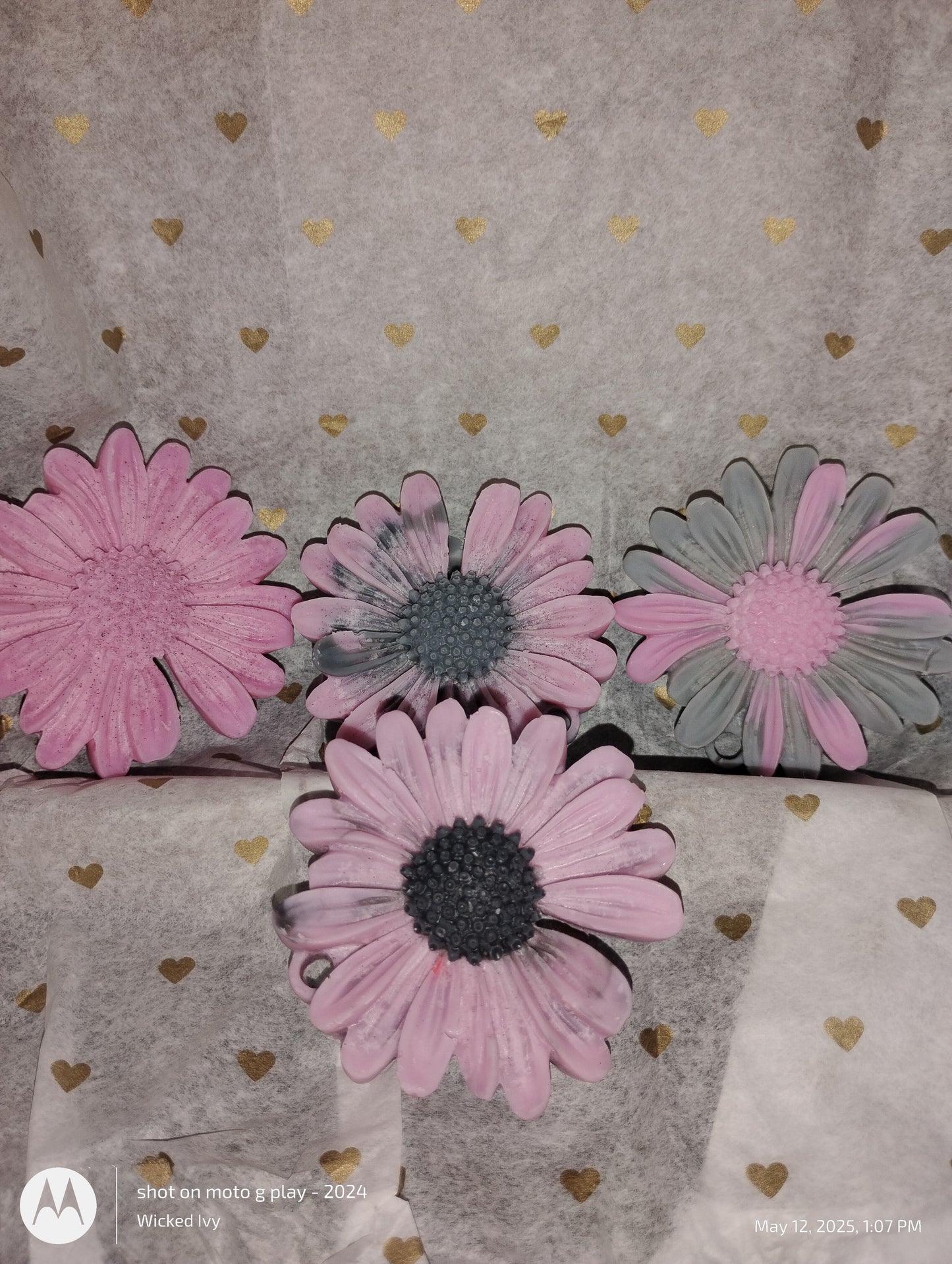 Midnight Daisy