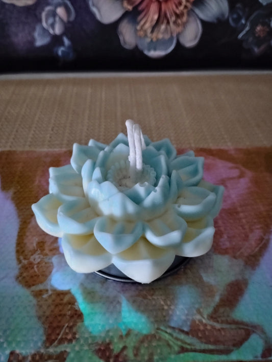 Love Spell Flower