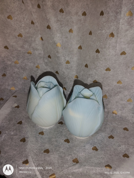 Love Spell Tulips