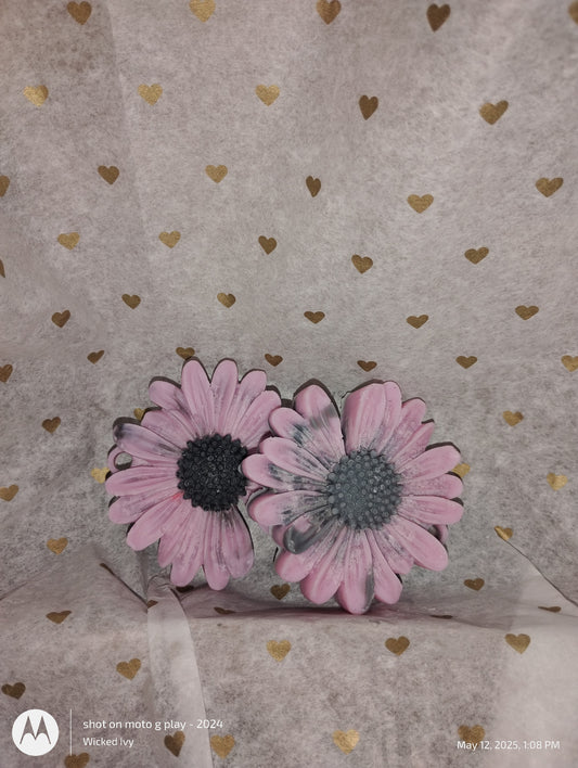 Midnight Daisy